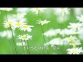 夏の花よ/内山田洋とクールファイブ cover Keizo