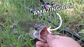 YOU will have a lot of fun fishing like THIS!