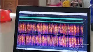 Memahami Frekuensi Suara Panggil Walet