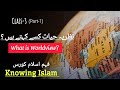 What is worldview      knowing islam series part1