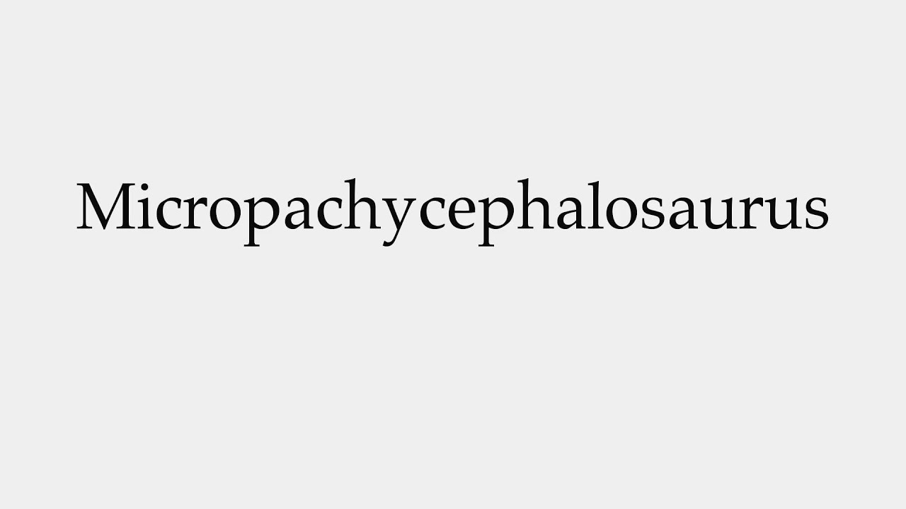micropachycephalosaurus pronounce