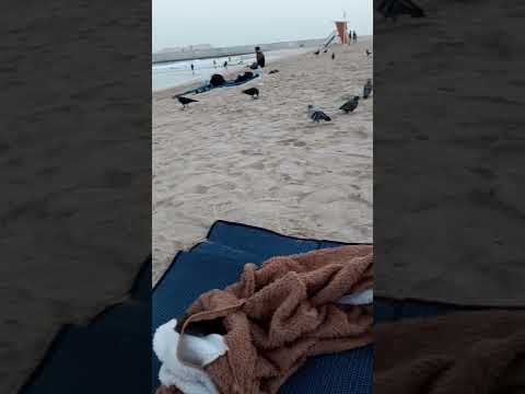 Morning view in Dubai umm suqeim beach
