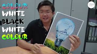 Dpi Technology Sdn Bhd- Hp Latex 700W800W 5 Layers Print