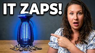 Is This Bug Zapper Worth Buying? Real Test Results