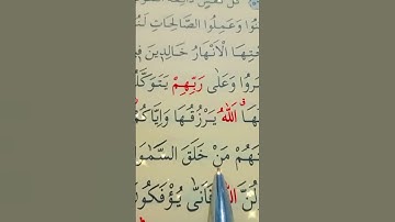 سورة العنكبوت الأية 59 إلى 62 بصوت سعد الغامدي