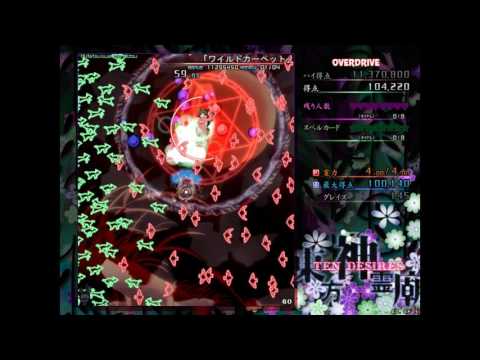 東方神霊廟 OVERDRIVE「ワイルドカーペット」 （二ッ岩 マミゾウ）
