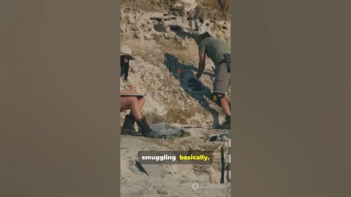 Unveiling the Dead Sea Scrolls: Secrets Hidden for 2,000 Years!#shorts