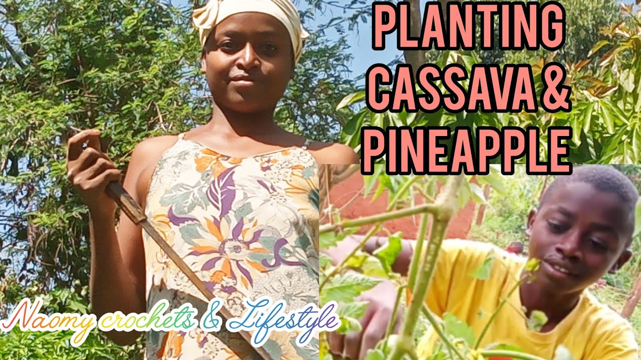 Planting Cassava & Pineapple on My Land | Simple Village Life in Kenya