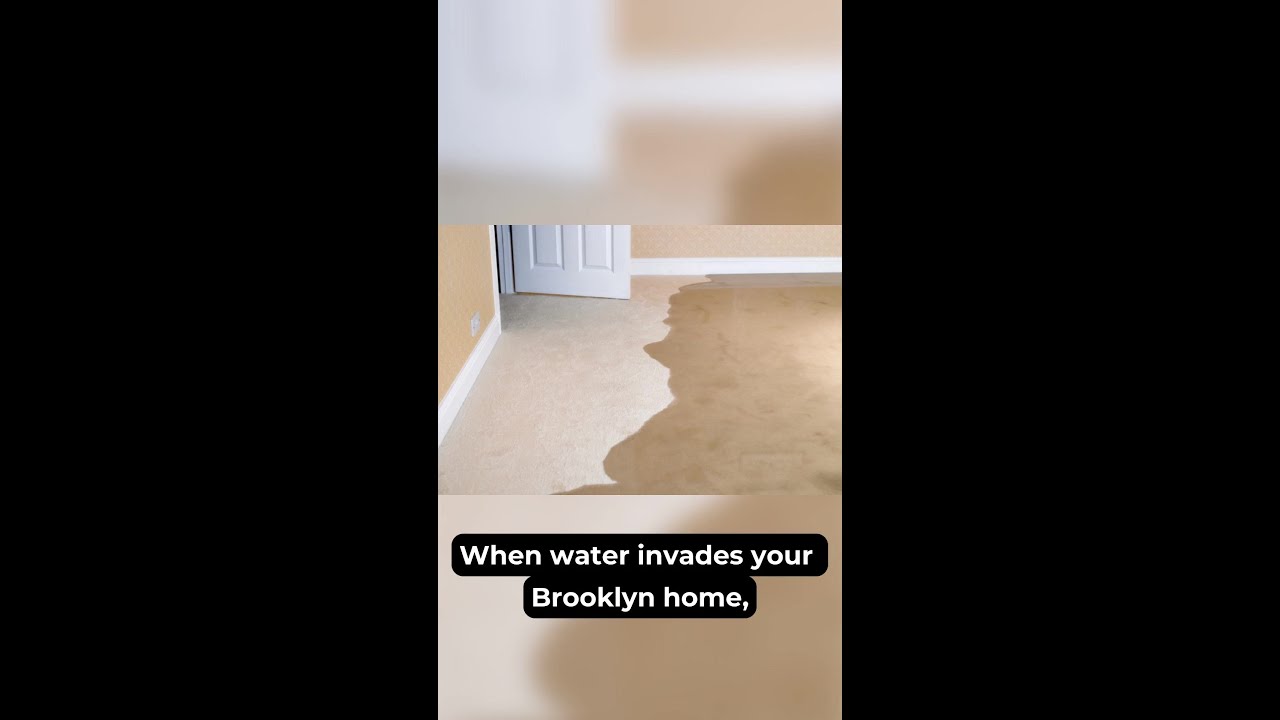 Does Insurance Cover Emergency Water Extraction? Brooklyn Homeowners Guide