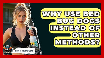 Why Use Bed Bug Dogs Instead Of Other Methods? - Insects and Invaders