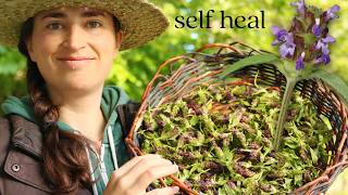 One of My Favorite Medicinal Weeds (And It's Probably Growing Near You)