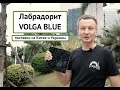 Лабрадорит Volga Blue - поставки изделий из Китая в СНГ и другие страны.