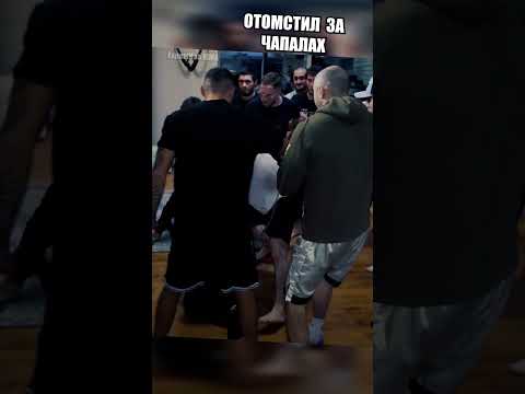 ИХ НЕ РАЗНИМАЛИ В ПОТАСОВКЕ 😱 #shorts @EXPERTIZAMMA