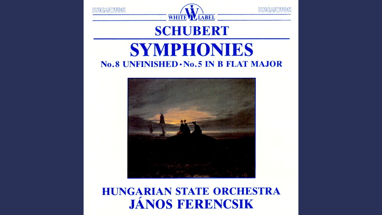Ver Symphony No. 5 in B Flat Major: III. Menuetto. Allegro molto no YouTube