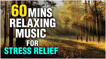 60 Minutes Relaxing Music For Stress Relief and Anxiety, Music for Meditation, Studying and Sleep