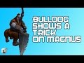 Bulldog Shows A Trick On Magnus