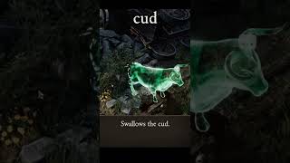 cud — Divinity: Original Sin 2 dialogue scene