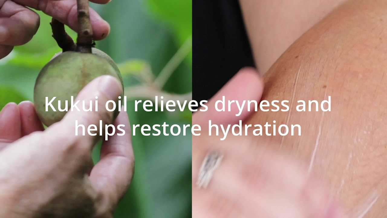 Sasha Exclusive Holiday Gift Set - サーシャの限定ホリデーギフト