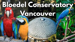 Domed Shape Paradise | Budget Friendly Tropical Rainforest 