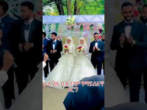 የወንድማማቾቹ ሰርግ ወልዳችሁ ክበሩ ሰርግ Wedding أناشيد Harunmedianetwork MuazHabibofficial ነሺዳ ዛዴ2 