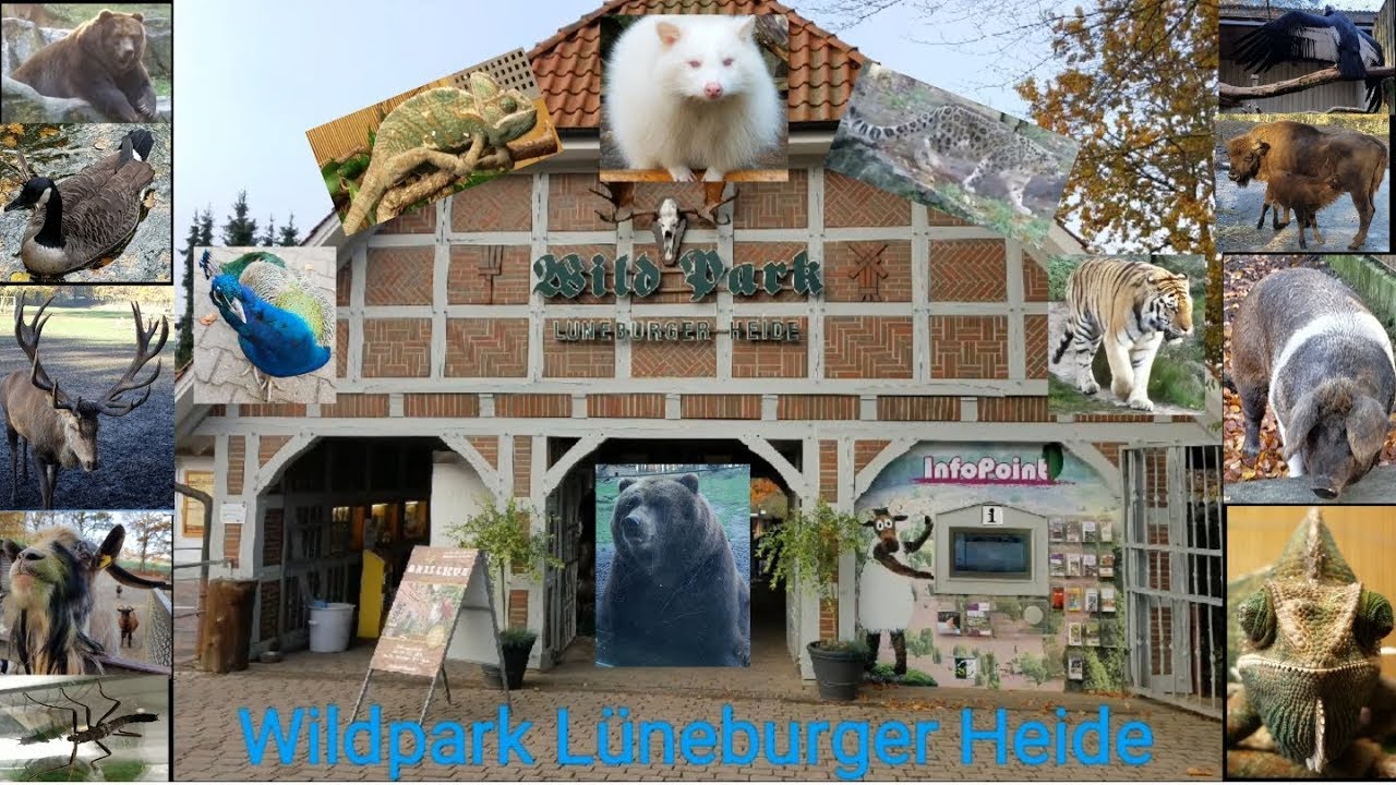 wildpark lüneburger heide