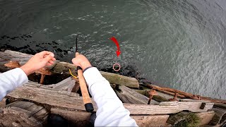 Chasing a GIANT Halibut From San Francisco Pier!