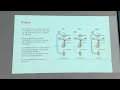 Ginecologia: Fisiología Del Eje H H G Y Ciclo Menstrual Normal 20260317