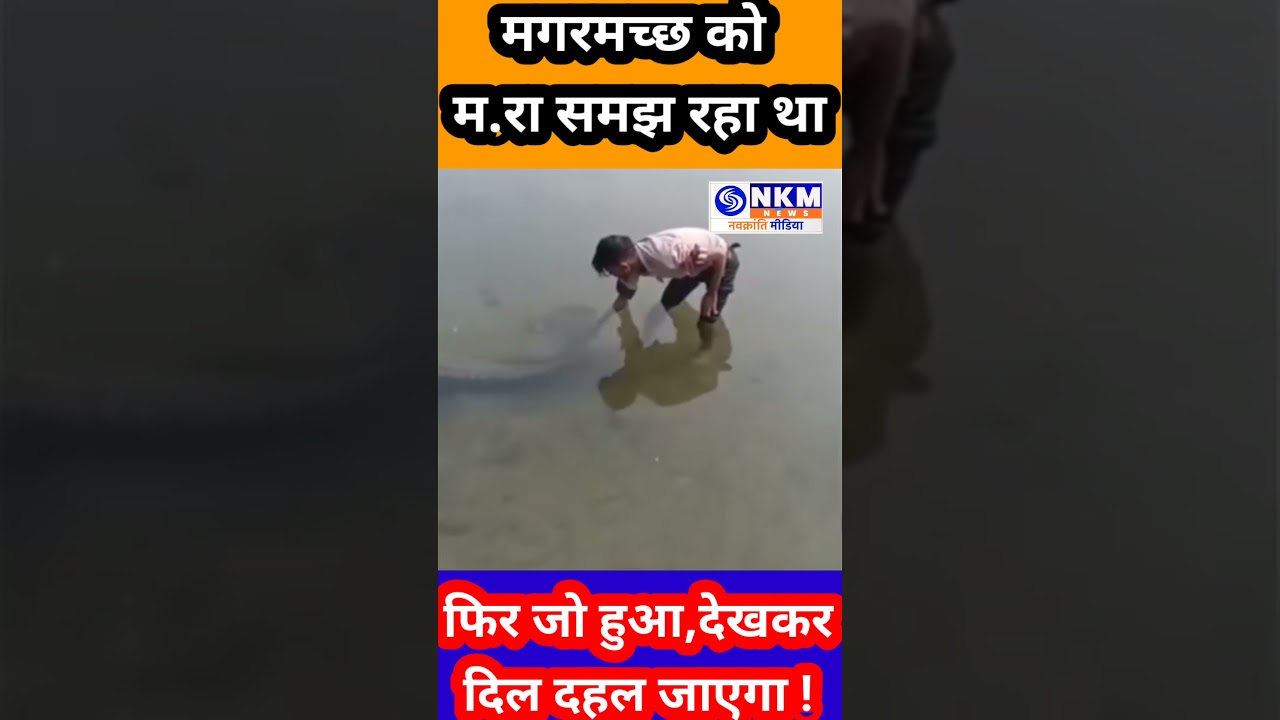 जल में रहकर मगर से बैर नहीं.. दिल दहला देने वाला वीडियो