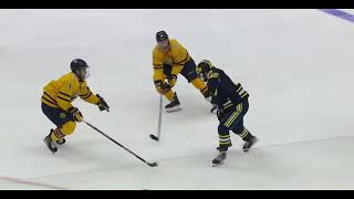 Net Drive Puck Protection #2