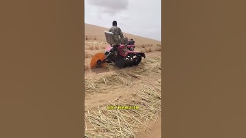 塔克拉玛干沙漠，中国最大的沙漠，已经被围起！#旅行推荐官 #中国旅行  #旅游