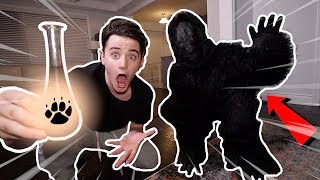 Insane Ordering Animal Potion From The Dark Web At 3Am I Turned In To A Gorilla