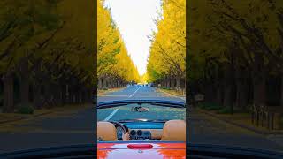 1994 Mazda MX 5 Miata Driving Down Ginko Avenue Tokyo Japan