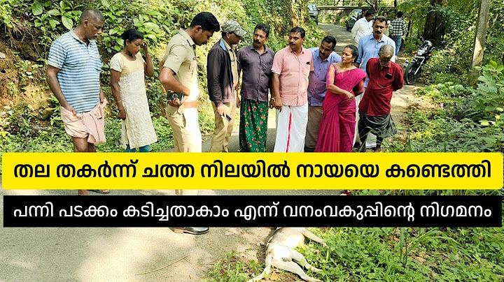 തല തകർന്ന് ചത്ത നിലയിൽ നായയെ കണ്ടെത്തി പന്നിപ്പടക്കം കടിച്ചാണ് നായ വനംവകുപ്പ്
