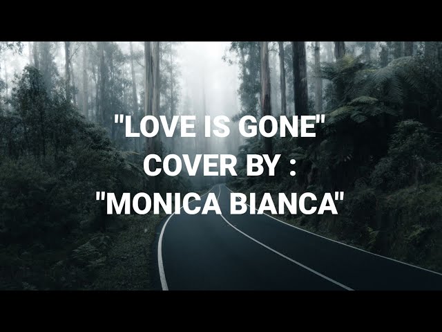 LOVE IS GONE- SLANDER//(COVER: MONICA BIANCA(Lyric) class=