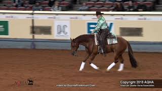 2018 AQHA Amateur Reining