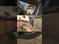 WAIT FOR THE LAST KILL 🤯 KARRIGAN -5 OVERPASS