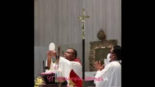 Doa Syukur Agung dalam Liturgi Ekaristi Kristen Katolik: Beautiful Indonesia