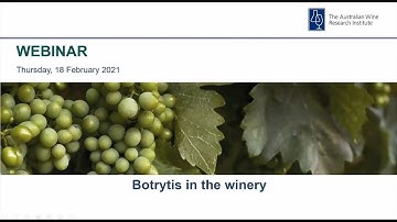Managing Botrytis in the winery