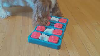 Cavalier King Charles Pauzzles screenshot 5