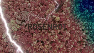 CIRAGE "ROSENROT"