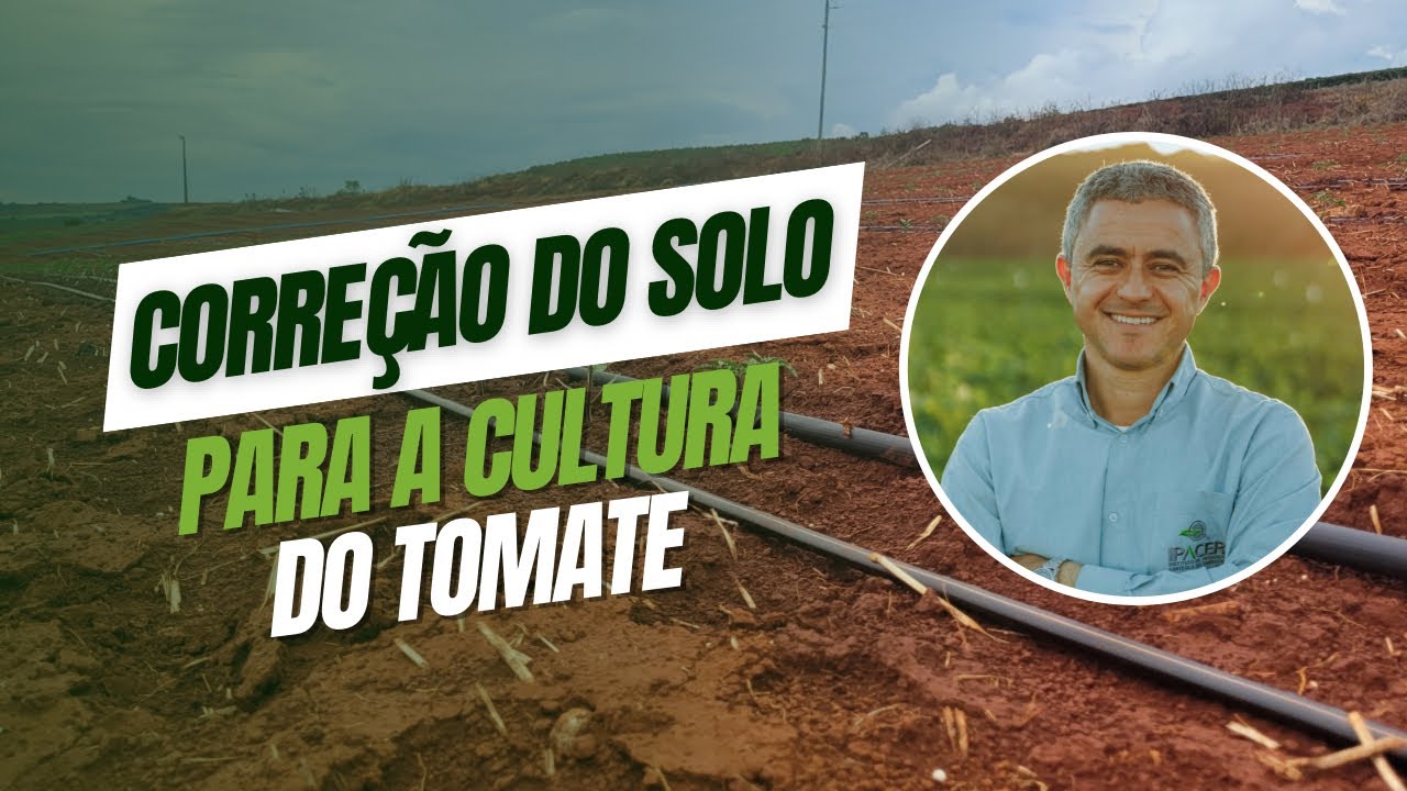 Correção do solo para a cultura do tomate