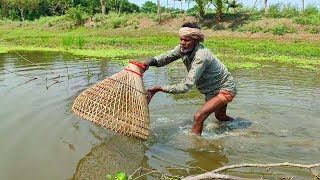 Beautiful Fishing Traditional Polo Fishing With Village Pond Fish Catching By Bamboo Tools