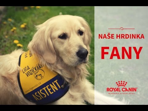 Video: Naše Hrdinka