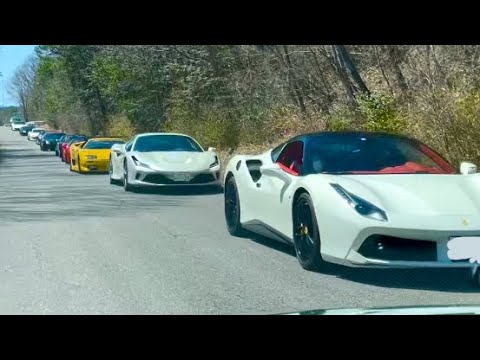 凄い‼︎  スーパーカーの車列に遭遇⁉️ #フェラーリ #ランボルギーニ