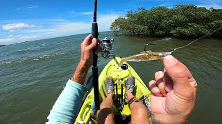 Persistence Pays Off - Saltwater Kayak Fishing Sebastian FL