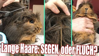 Sind ihre langen Haare ein Segen, oder FLUCH? | Die Meeries