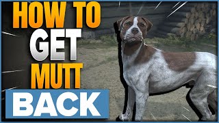 How To Get Mutt Back If You Send Him Home In Kingdom Come Deliverance 2