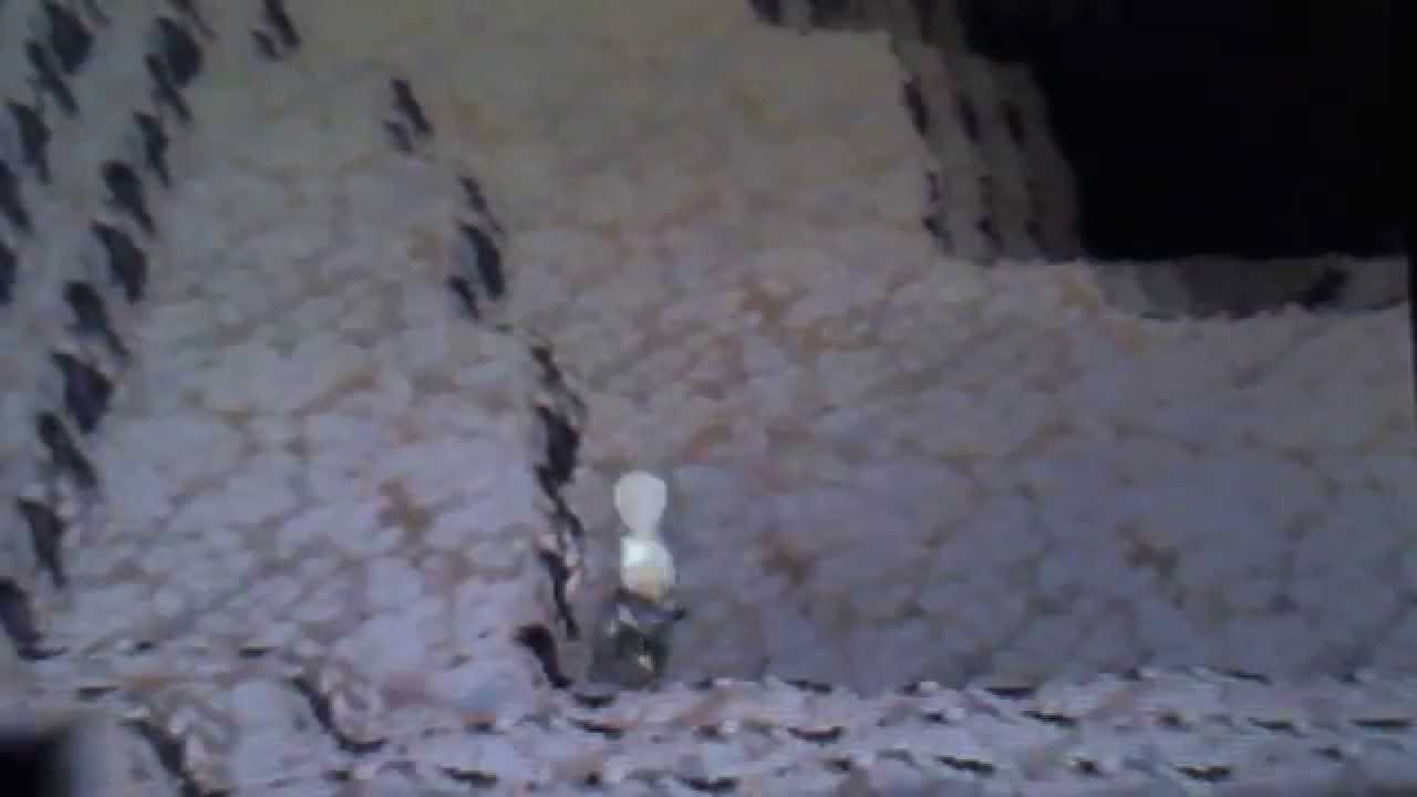 Live shiny in the Cave of Origin after 8,905 random encounters. (Alpha Sapphire) YouTube