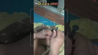 Injection Back Hip Side Im Injection Zara Cihtti