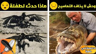 ها هي المعلومات تناديك الان ? (معلومة في صورة)